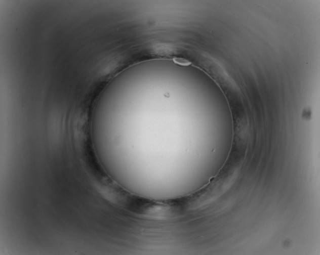 X0000103300364200808291411