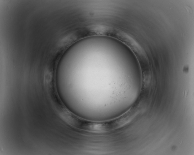 X0000103300365200808291411