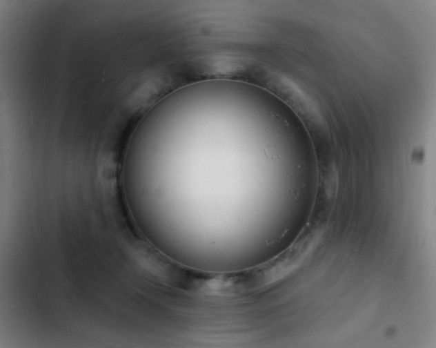 X0000103300366200808291411