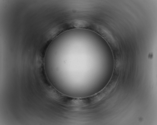 X0000103300367200808291411