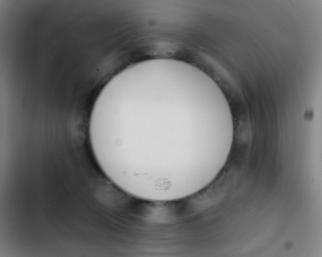 X0000103300370200808291411