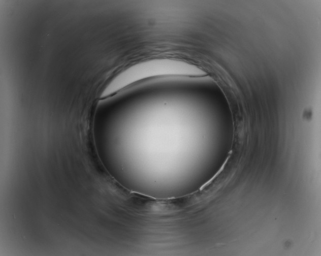 X0000103300372200808291411