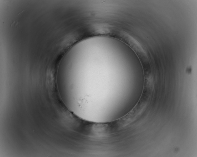 X0000103300373200808291411