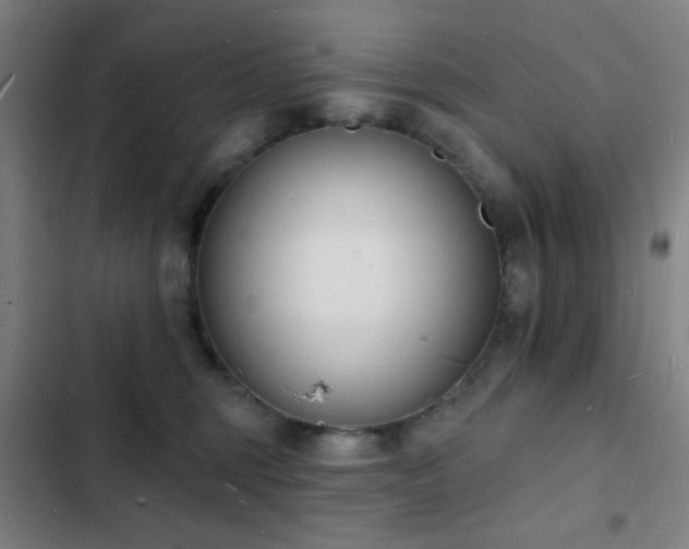 X0000103300375200808291411