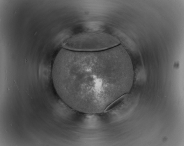 X0000103300376200808291411