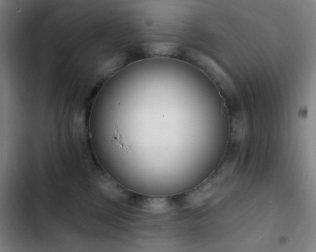 X0000103300377200808291411