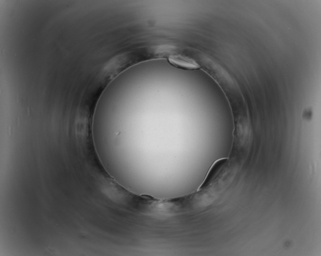 X0000103300379200808291411