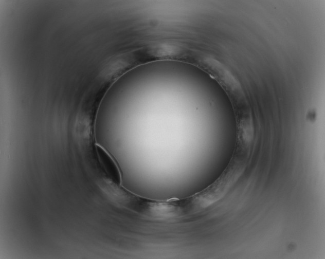 X0000103300380200808291411