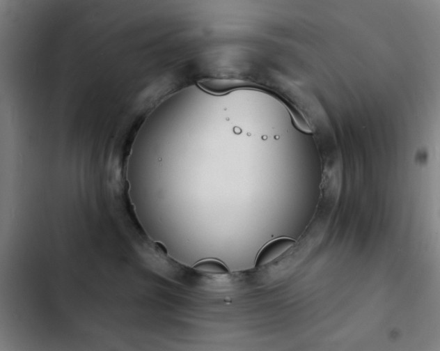 X0000103300381200808291411