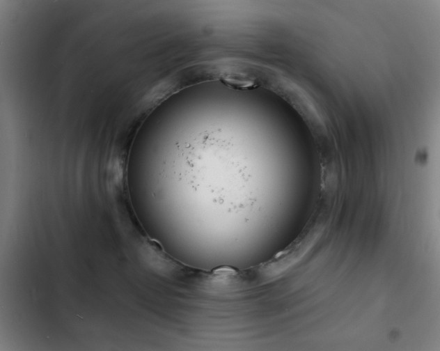 X0000103300382200808291411