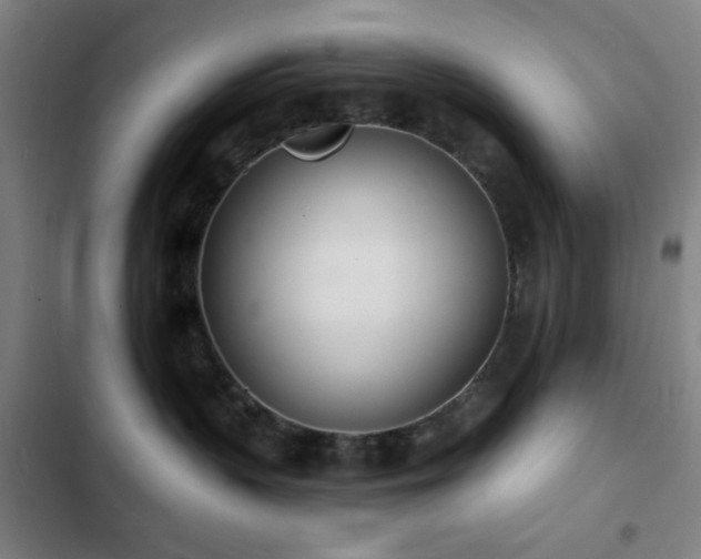 X0000103300383200808291411