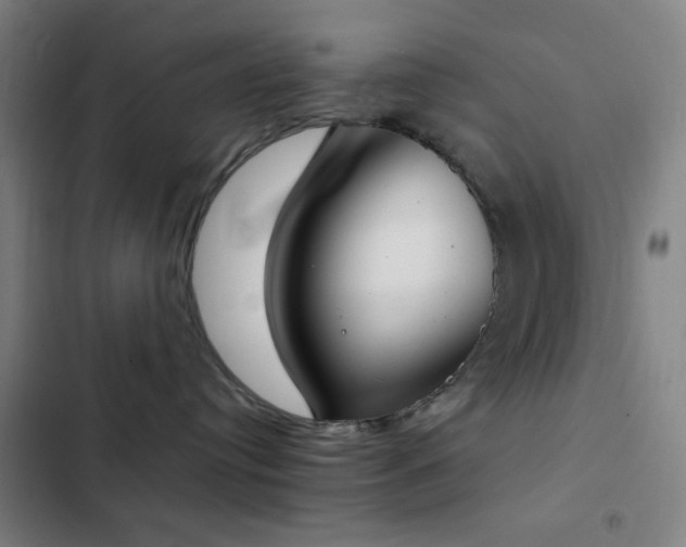 X0000103300384200808291411