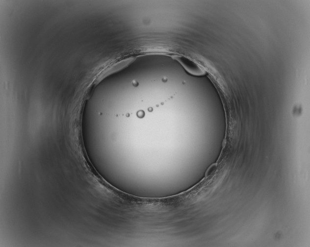 X0000103300385200808291410