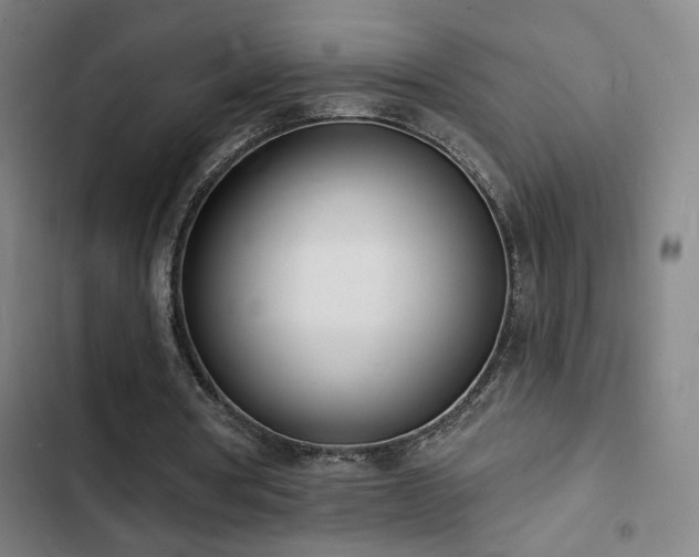 X0000103300386200808291410