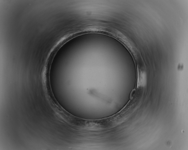 X0000103300387200808291410