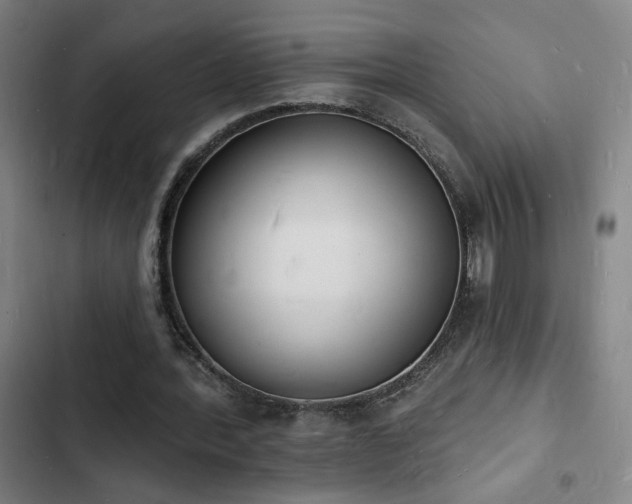 X0000103300388200808291410