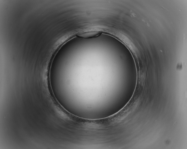 X0000103300389200808291410