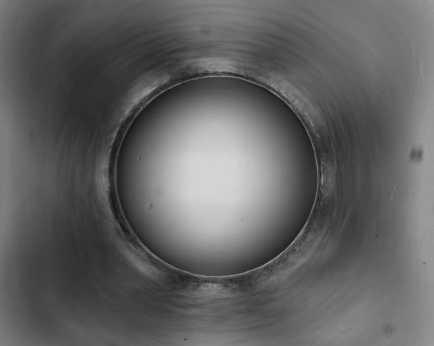 X0000103300390200808291410