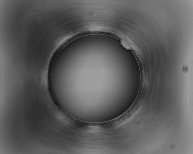 X0000103300391200808291410