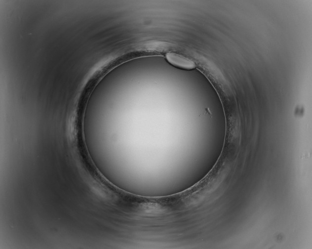 X0000103300392200808291410