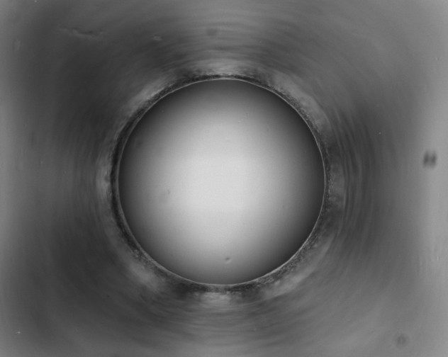 X0000103300394200808291410