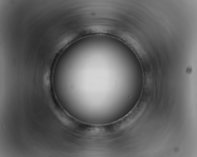 X0000103300398200808291410