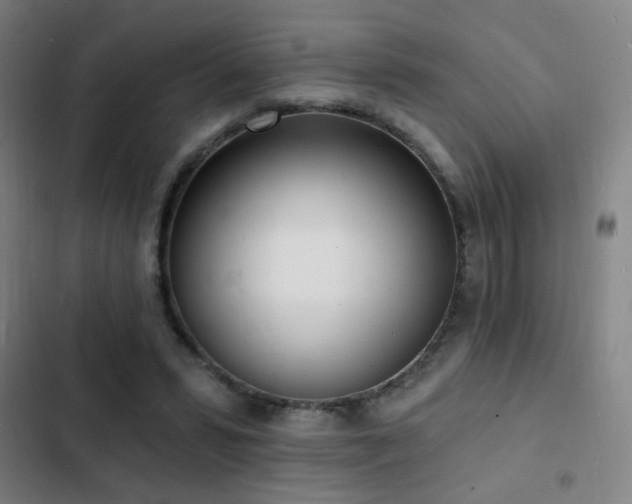 X0000103300399200808291410