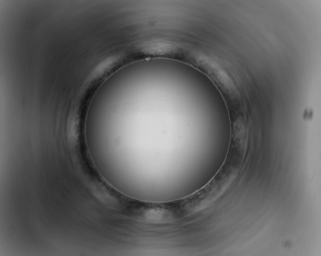 X0000103300400200808291410