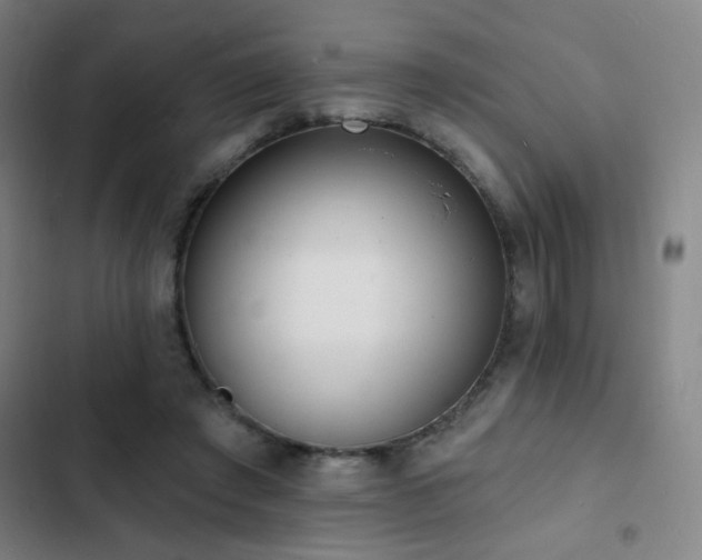 X0000103300401200808291410