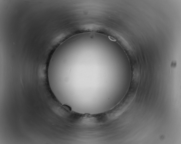 X0000103300403200808291410