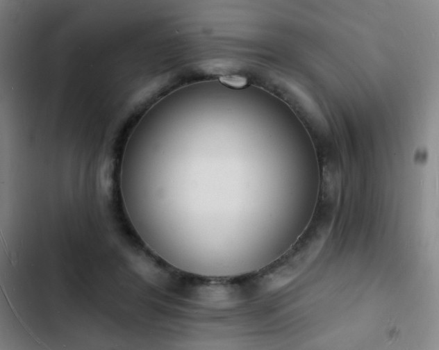 X0000103300404200808291410