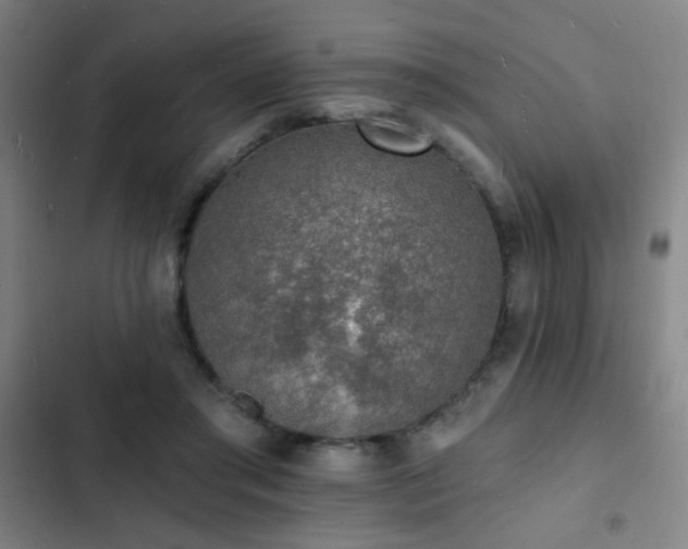 X0000103300405200808291410