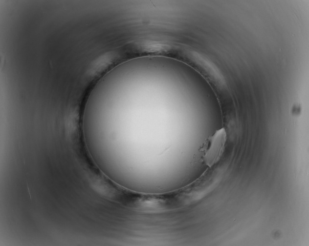 X0000103300407200808291410