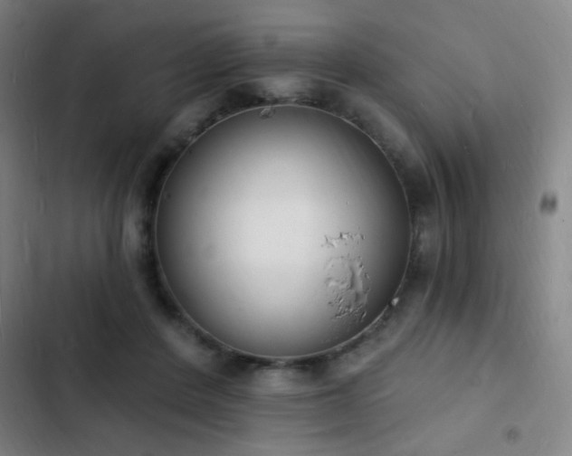 X0000103300408200808291410