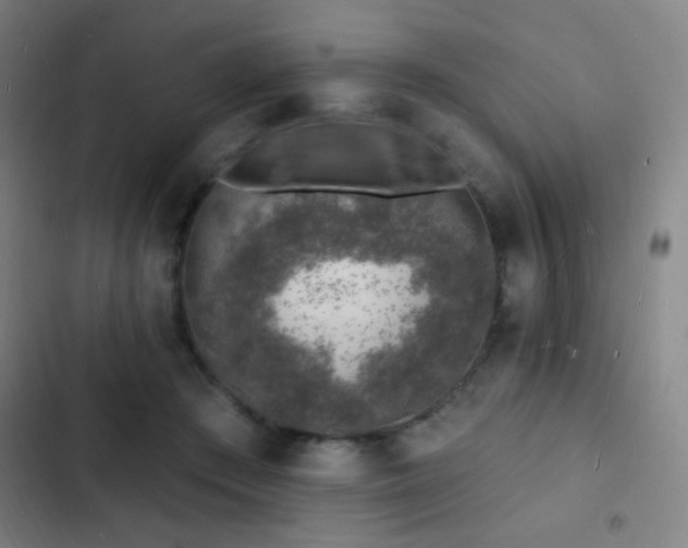 X0000103300409200808291410