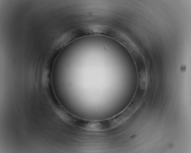 X0000103300410200808291410