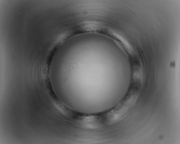 X0000103300411200808291410