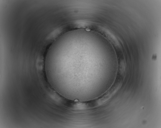 X0000103300413200808291410