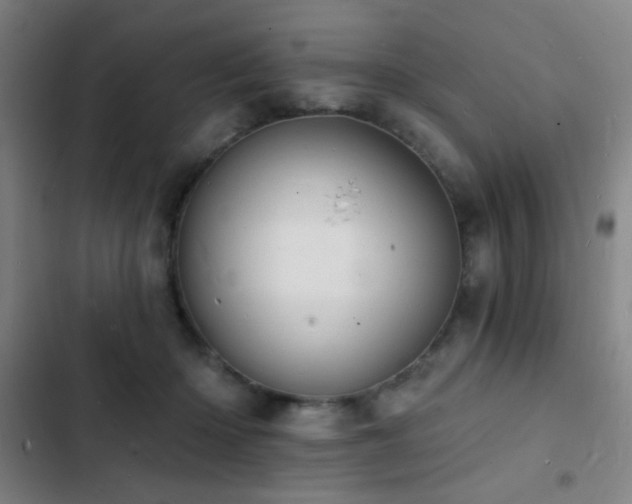 X0000103300414200808291410