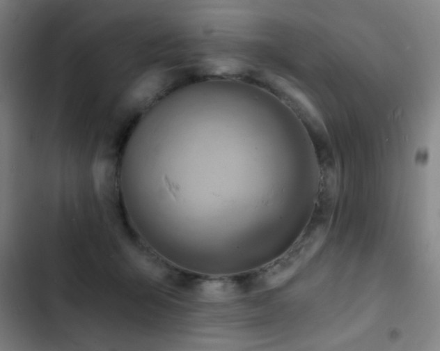 X0000103300415200808291410