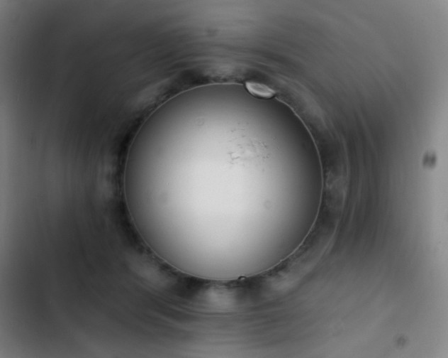 X0000103300416200808291410