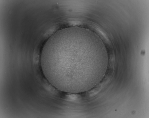 X0000103300417200808291410