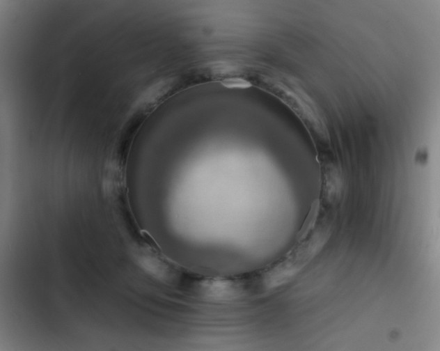 X0000103300419200808291410