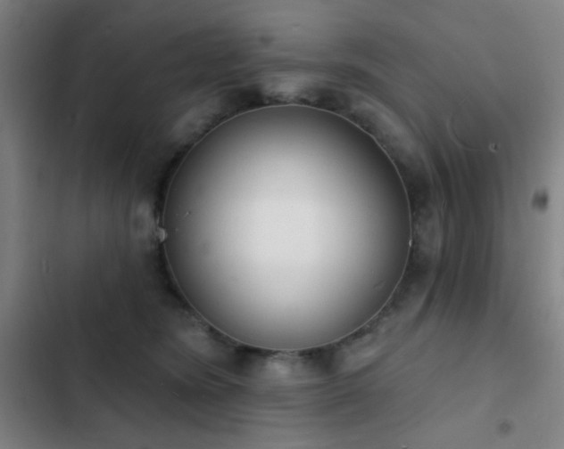 X0000103300420200808291410