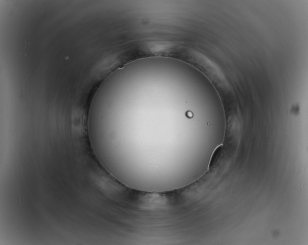 X0000103300421200808291410