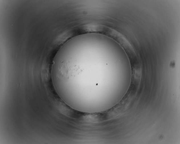 X0000103300422200808291410