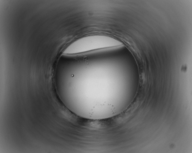 X0000103300423200808291410