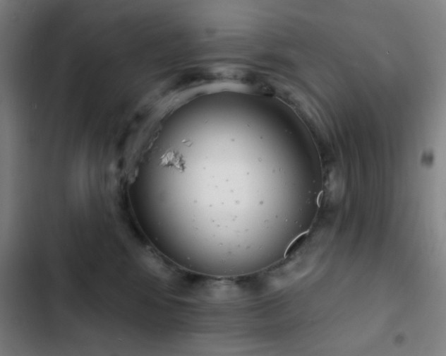 X0000103300424200808291410