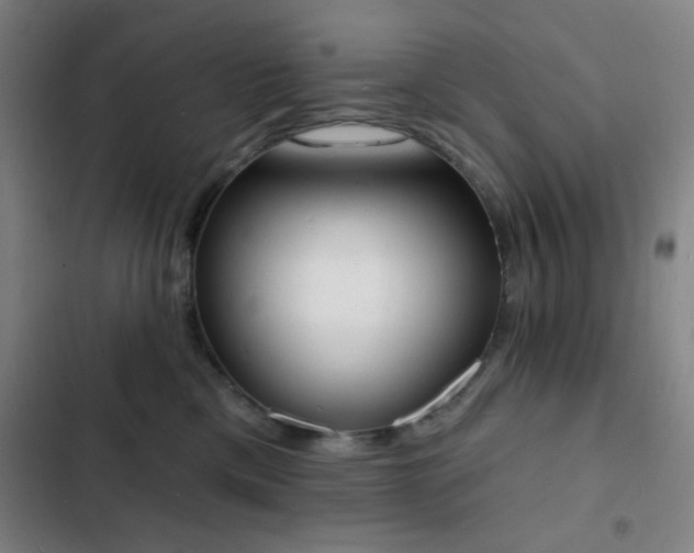 X0000103300425200808291410