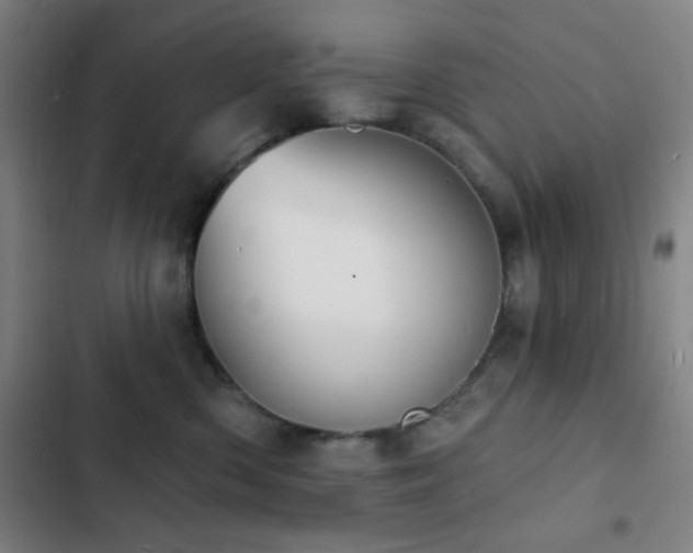 X0000103300426200808291410